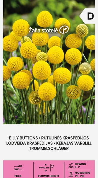 Kultahehku "Billy buttons"